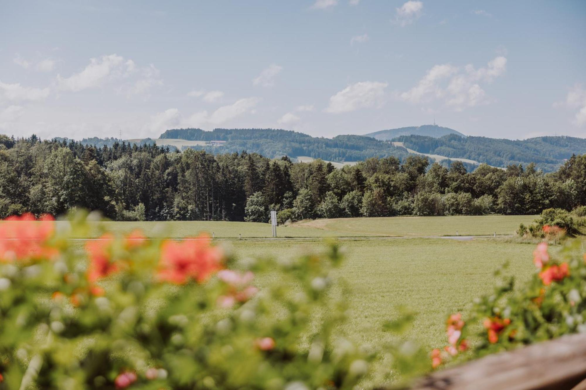 Landhotel Gschirnwirt Eugendorf Buitenkant foto